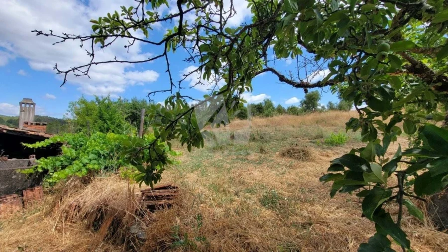 Quinta T4 para Venda em Sarzedas Foto 59
