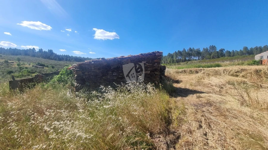 Quinta T4 para Venda em Sarzedas Foto 40