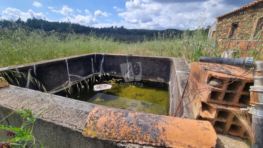 Quinta T4 para Venda em Sarzedas Foto 37