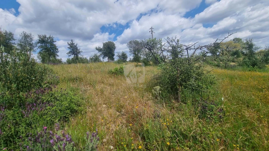 Quinta T4 para Venda em Sarzedas Foto 33