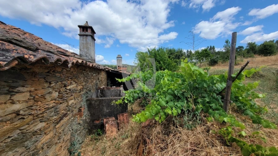 Quinta T4 para Venda em Sarzedas Foto 60