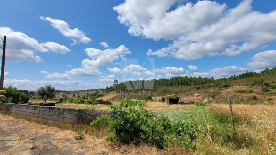 Quinta T4 para Venda em Sarzedas Foto 45
