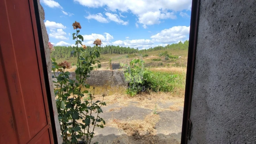 Quinta T4 para Venda em Sarzedas Foto 51