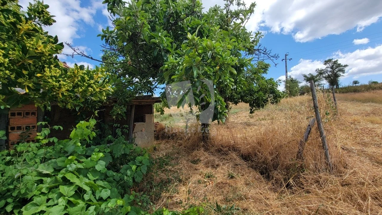 Quinta T4 para Venda em Sarzedas Foto 58