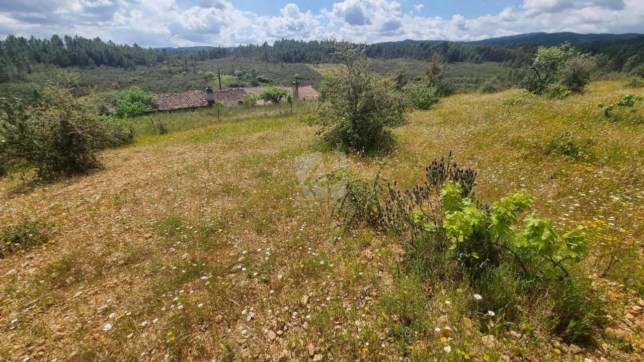 Quinta T4 para Venda em Sarzedas Foto 31