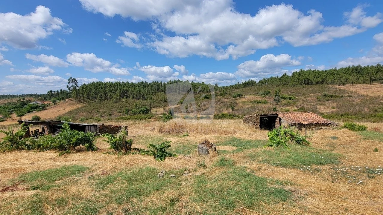 Quinta T4 para Venda em Sarzedas Foto 46