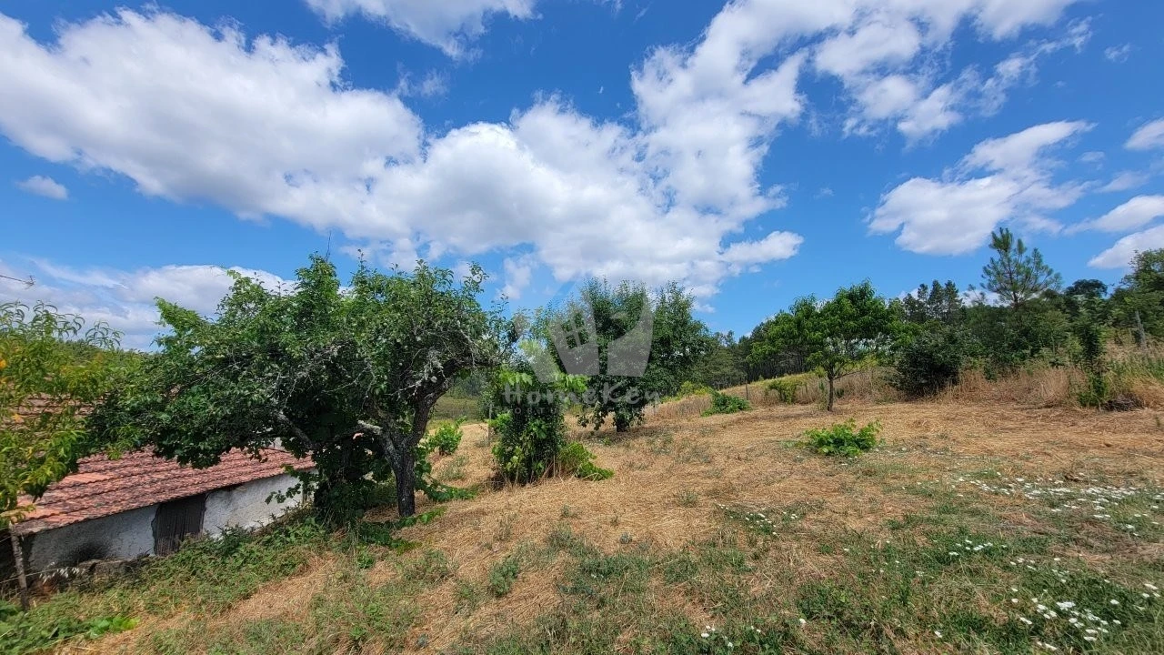 Quinta T4 para Venda em Sarzedas Foto 61