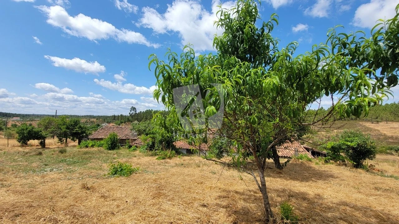 Quinta T4 para Venda em Sarzedas Foto 62