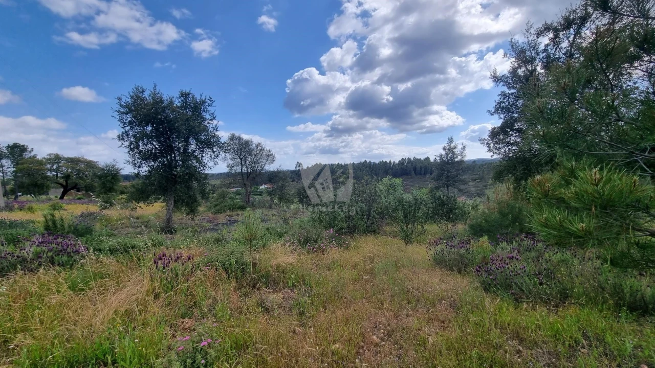 Quinta T4 para Venda em Sarzedas Foto 39