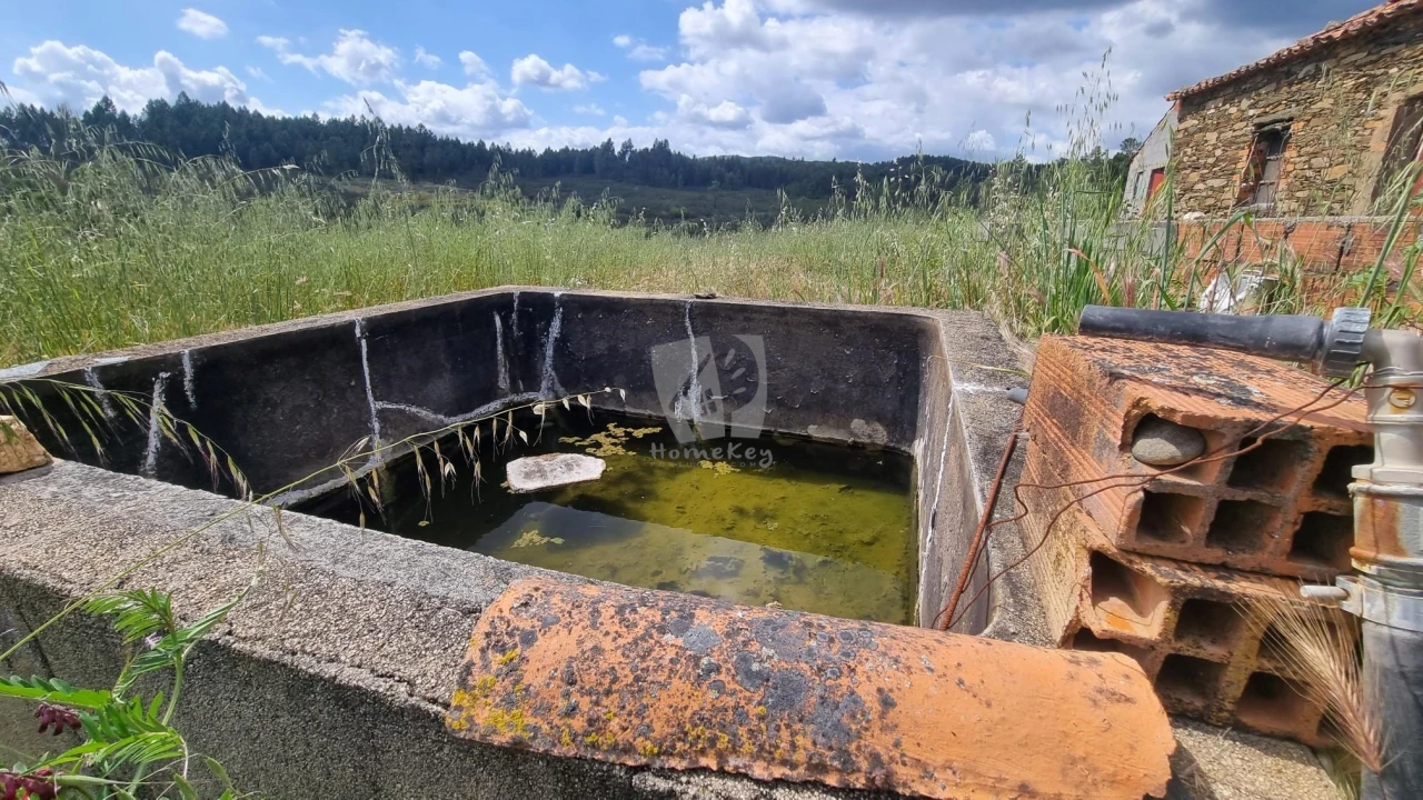 Quinta T4 para Venda em Sarzedas Foto 37