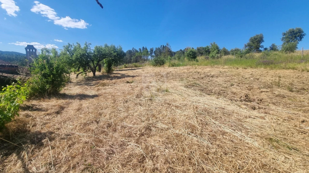 Quinta T4 para Venda em Sarzedas Foto 41