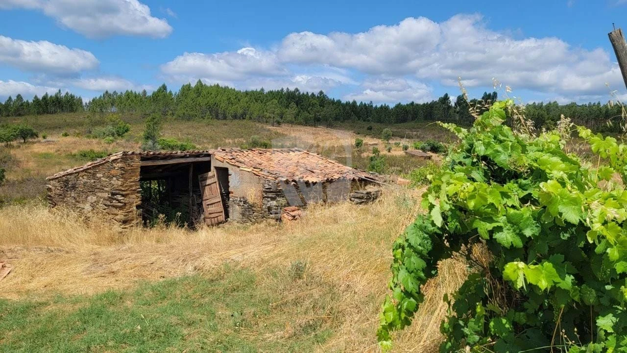 Quinta T4 para Venda em Sarzedas Foto 67