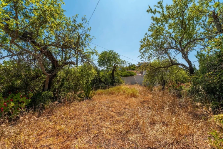 Moradia T2 para Venda em Cachopo Foto 11