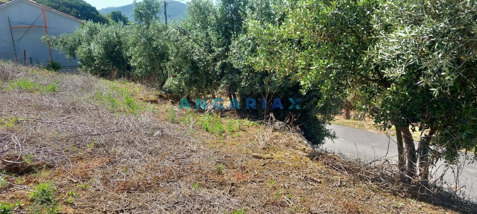 Terreno para Venda em Leiria, Pousos, Barreira e Cortes Foto 6