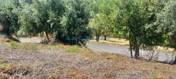 Terreno para Venda em Leiria, Pousos, Barreira e Cortes