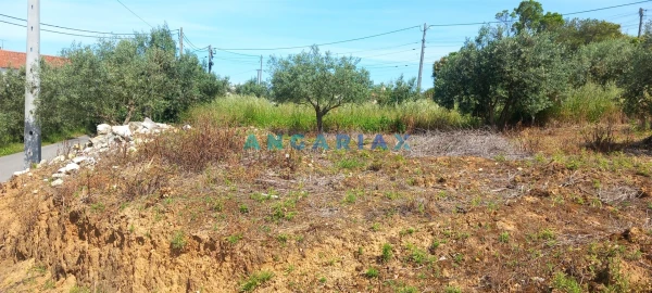 Terreno para Venda em Leiria, Pousos, Barreira e Cortes