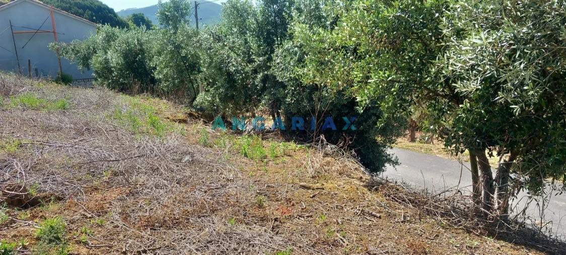 Terreno para Venda em Leiria, Pousos, Barreira e Cortes Foto 6