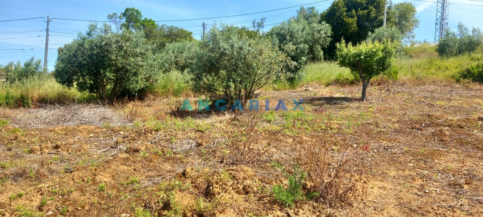 Terreno para Venda em Leiria, Pousos, Barreira e Cortes Foto 4
