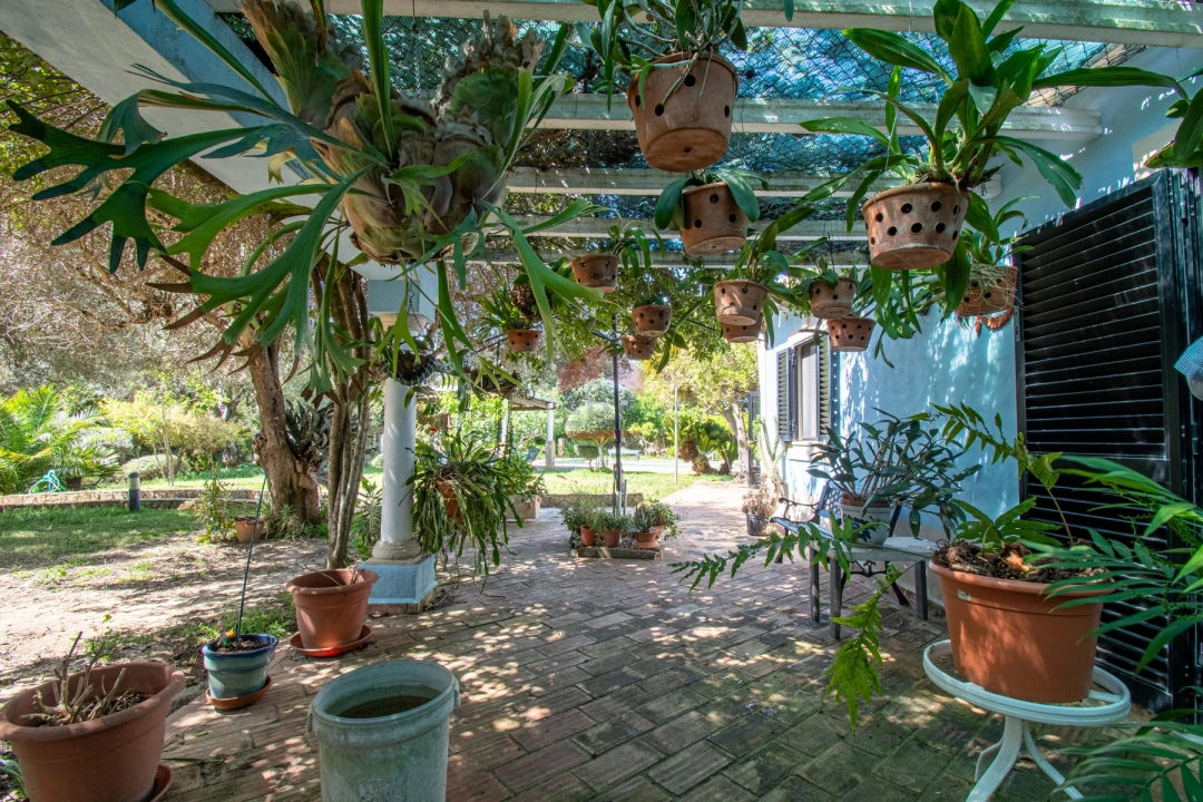 Moradia T4 para Venda em São Brás de Alportel Foto 34
