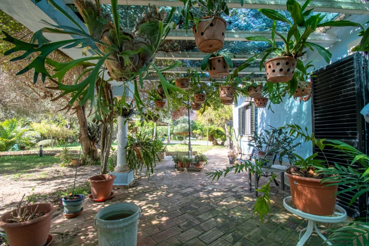 Moradia T4 para Venda em São Brás de Alportel Foto 34