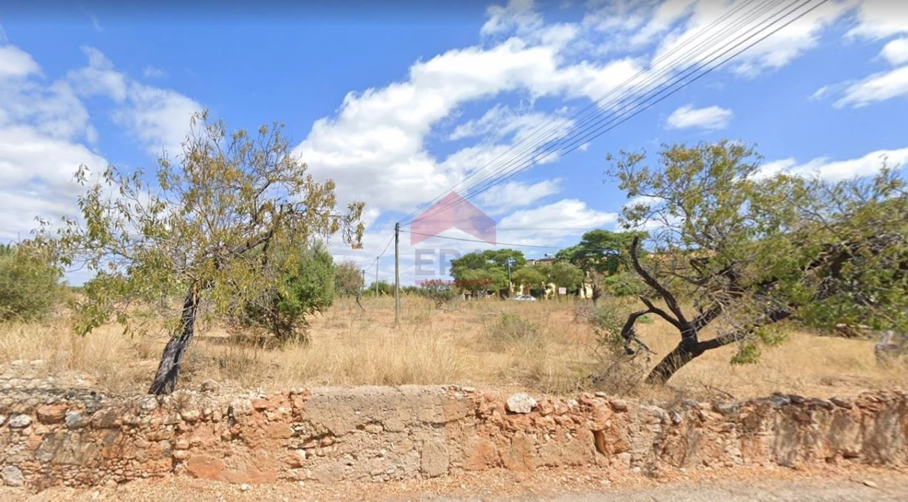 Terreno para Venda em Pechão Foto 2