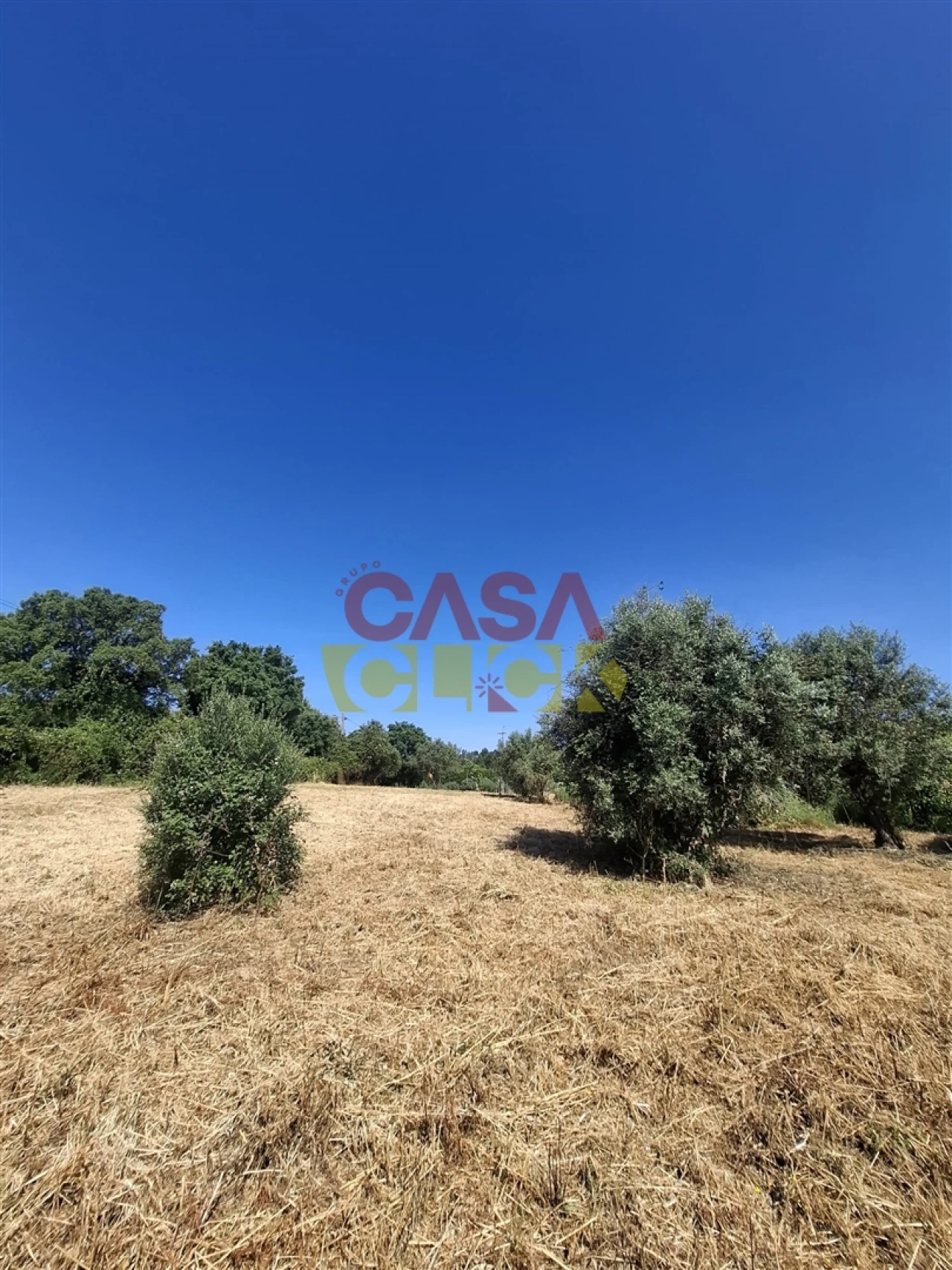 Terreno para Venda em Meia Via Foto 15