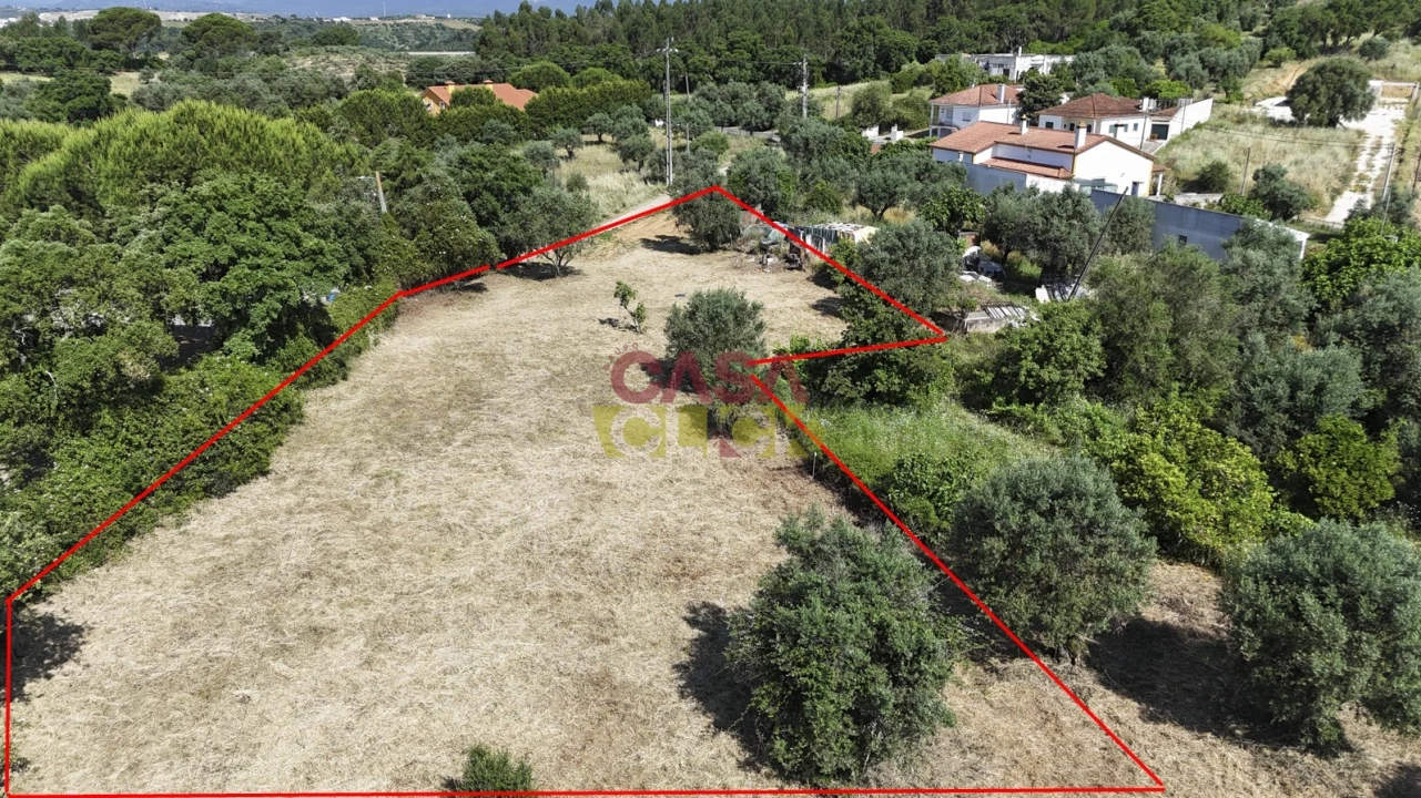 Terreno para Venda em Meia Via Foto 10