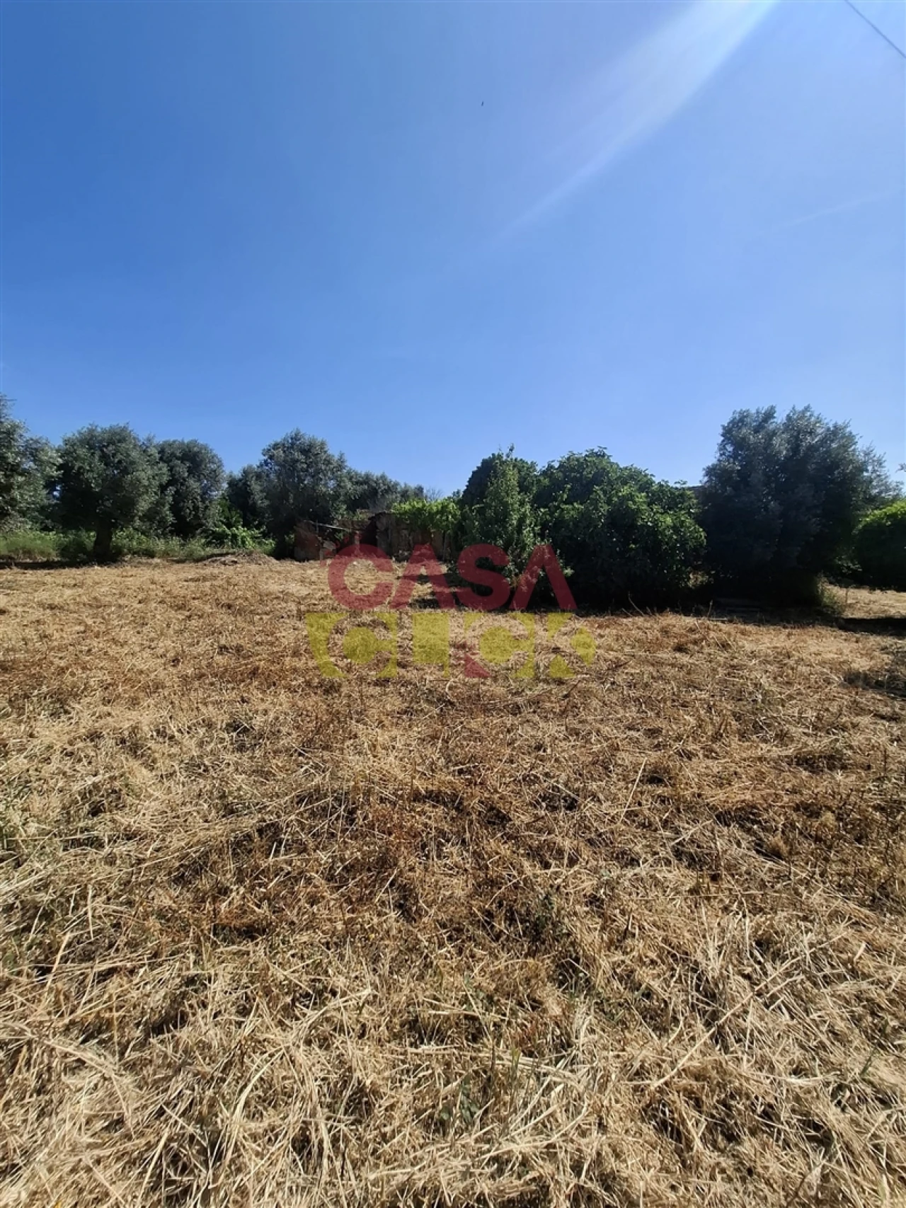 Terreno para Venda em Meia Via Foto 14