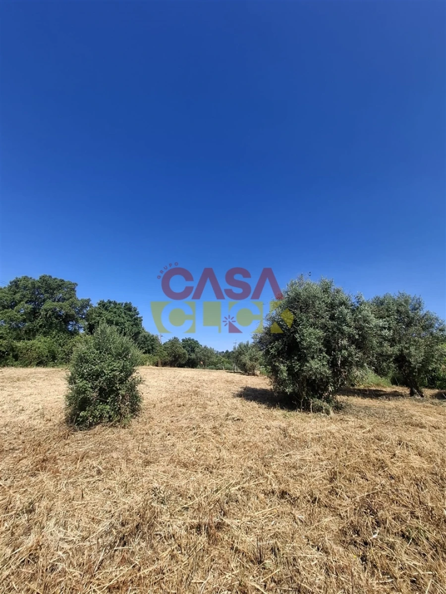 Terreno para Venda em Meia Via Foto 15