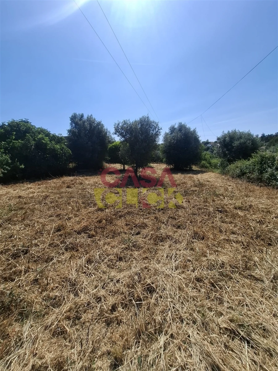 Terreno para Venda em Meia Via Foto 13