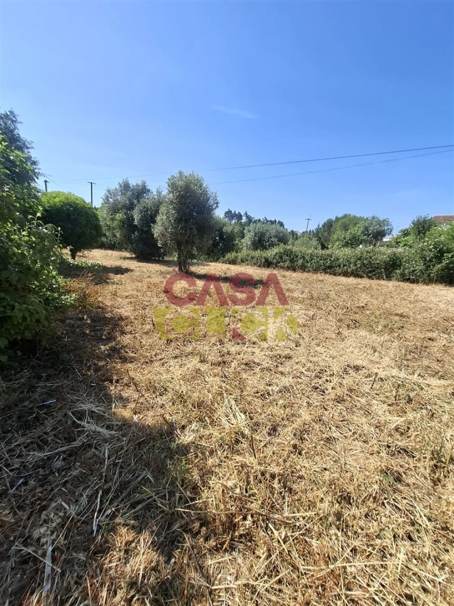 Terreno para Venda em Meia Via Foto 12