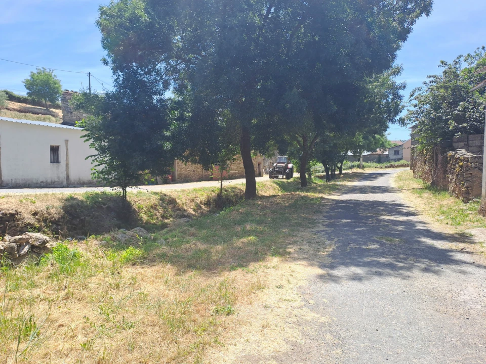 Moradia T3 para Venda em Vilar Seco Foto 28