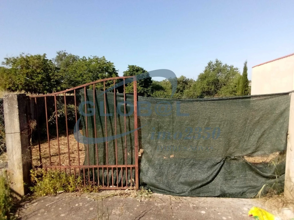 Terreno para Venda em Brogueira, Parceiros de Igreja e Alcorochel Foto 5