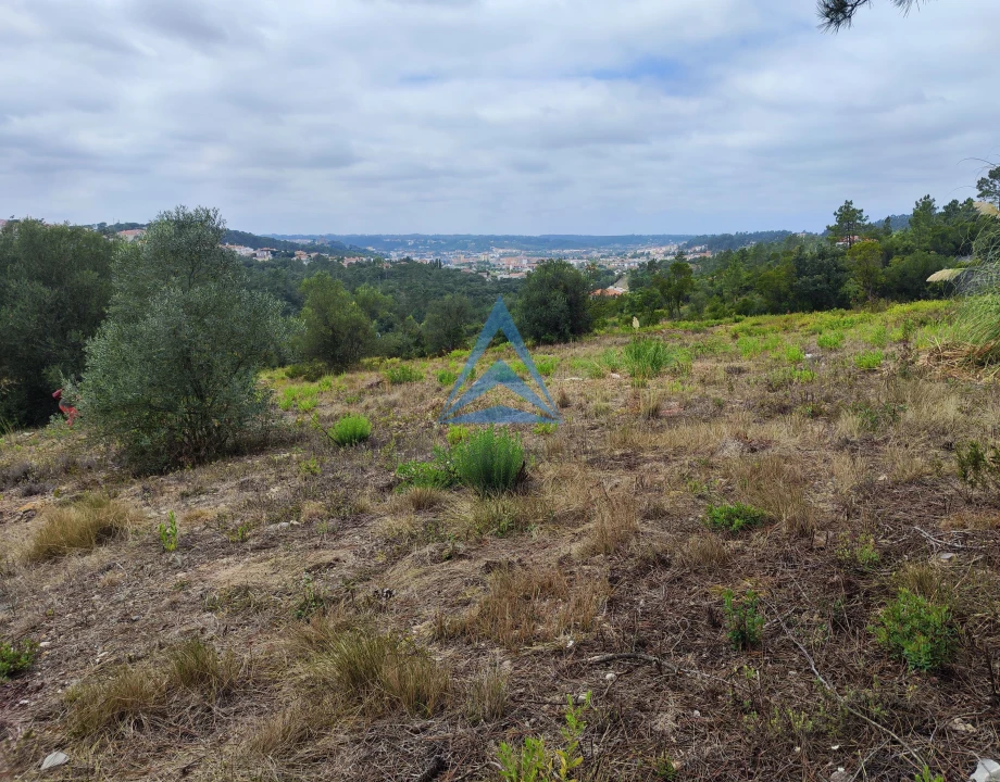 Terreno para Venda em Pombal Foto 9