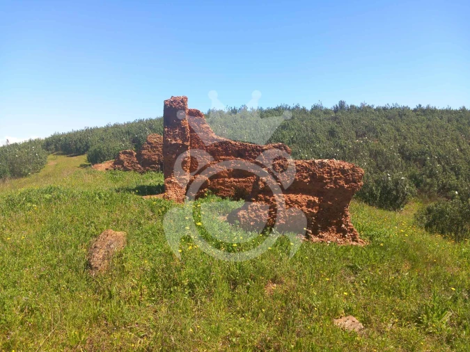 Terreno para Venda em Serpa (Salvador e Santa Maria) Foto 1