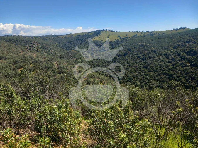 Terreno para Venda em Serpa (Salvador e Santa Maria)