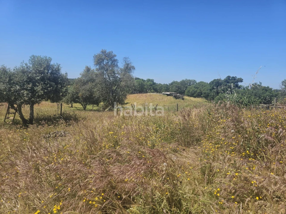 Quinta T1 para Venda em Abela Foto 2