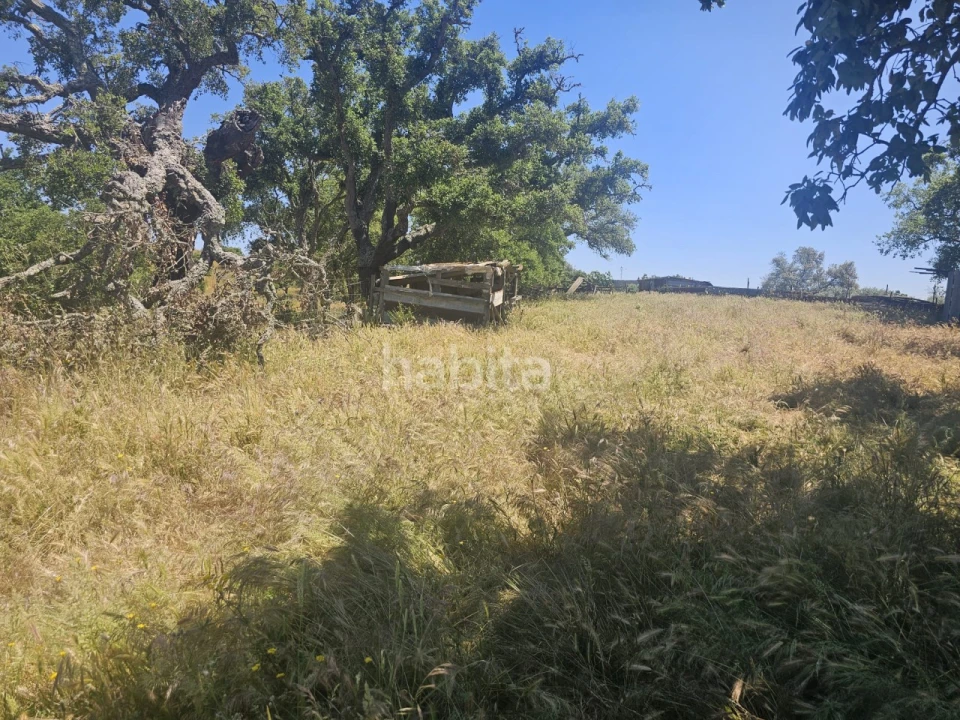 Quinta T1 para Venda em Abela Foto 5