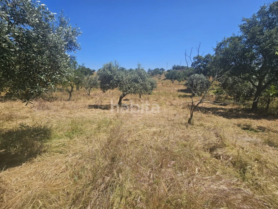 Quinta T1 para Venda em Abela Foto 6