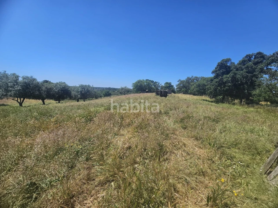 Quinta T1 para Venda em Abela Foto 8