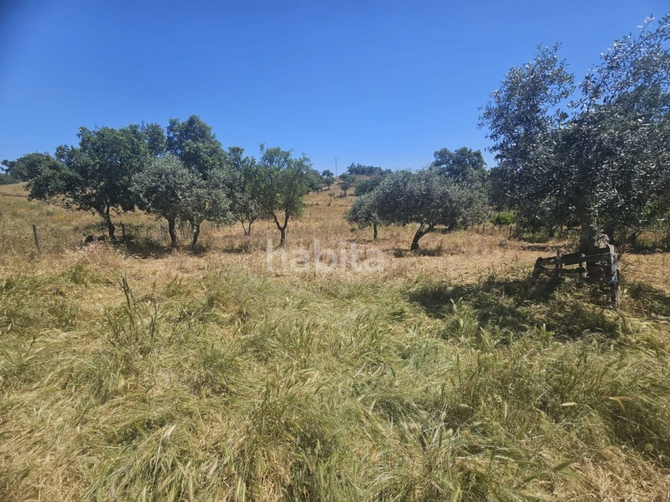 Quinta T1 para Venda em Abela Foto 9