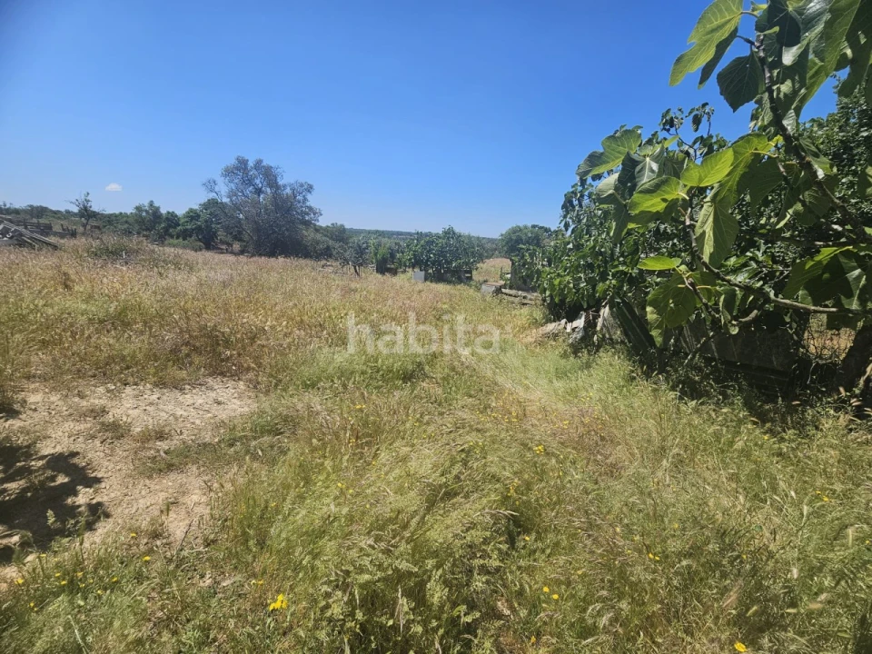 Quinta T1 para Venda em Abela Foto 15