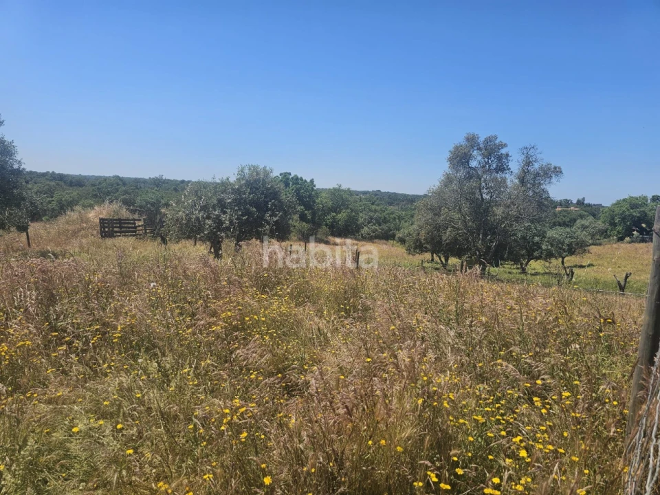 Quinta T1 para Venda em Abela Foto 16