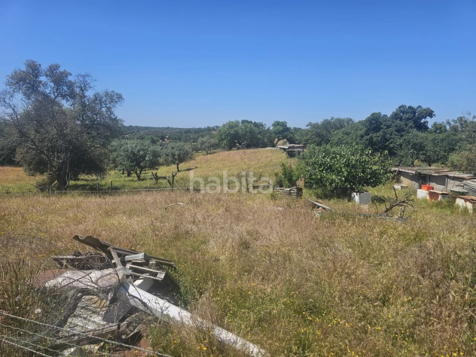 Quinta T1 para Venda em Abela Foto 17