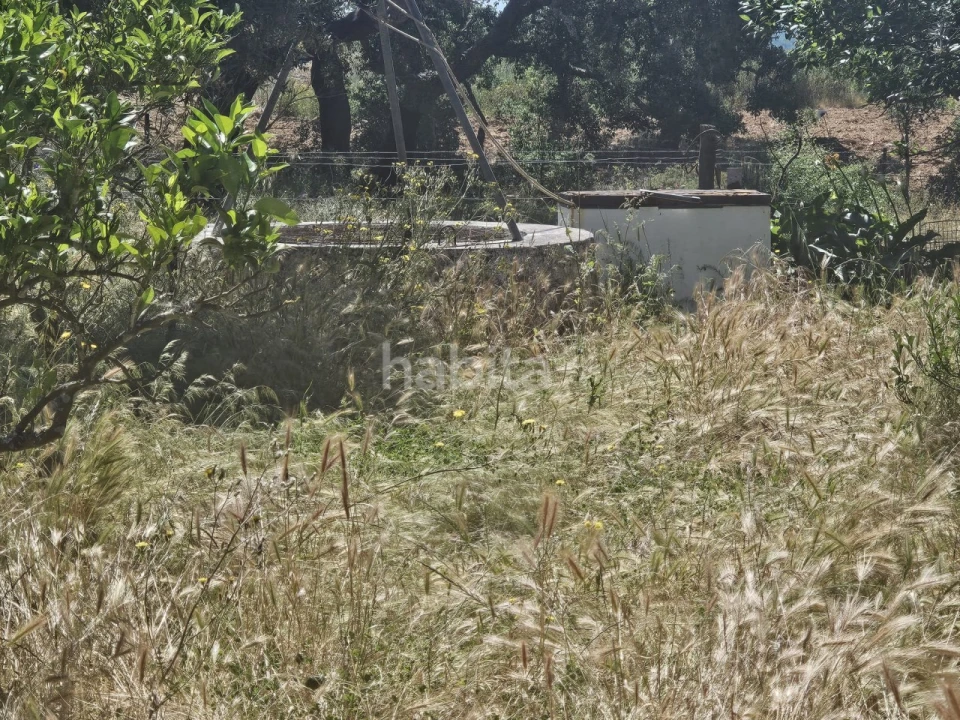 Quinta T1 para Venda em Abela Foto 18