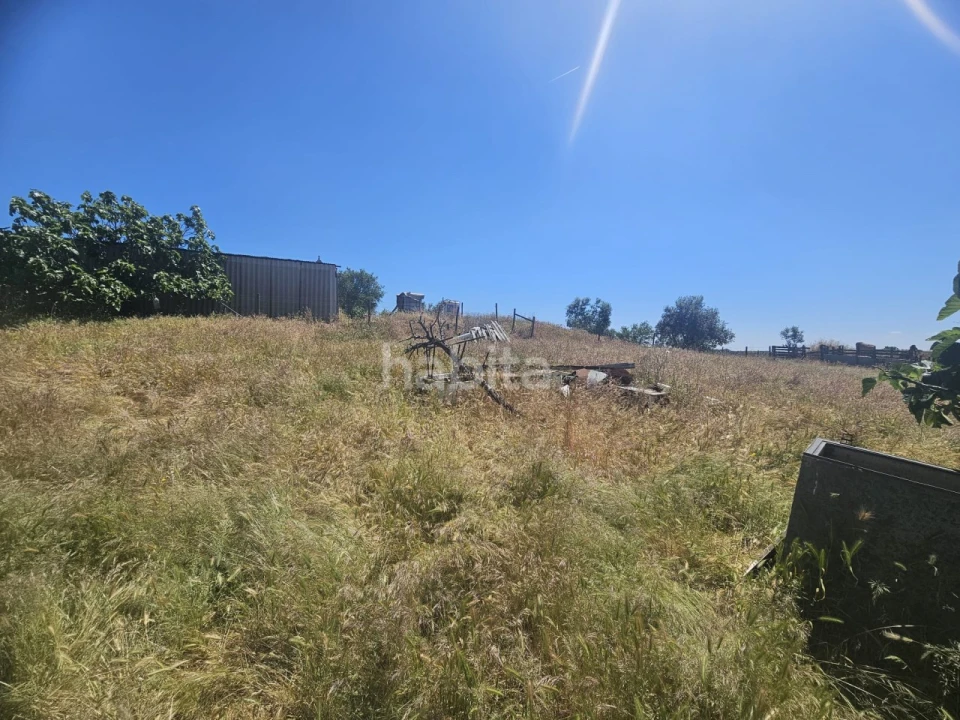 Quinta T1 para Venda em Abela Foto 23