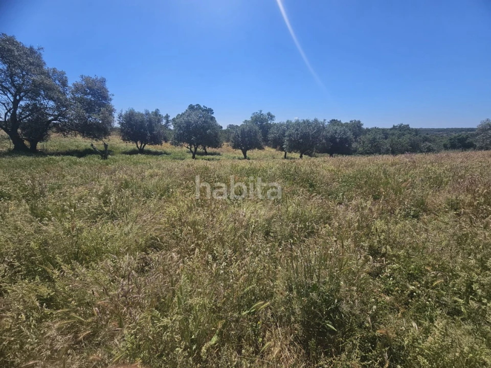 Quinta T1 para Venda em Abela Foto 24