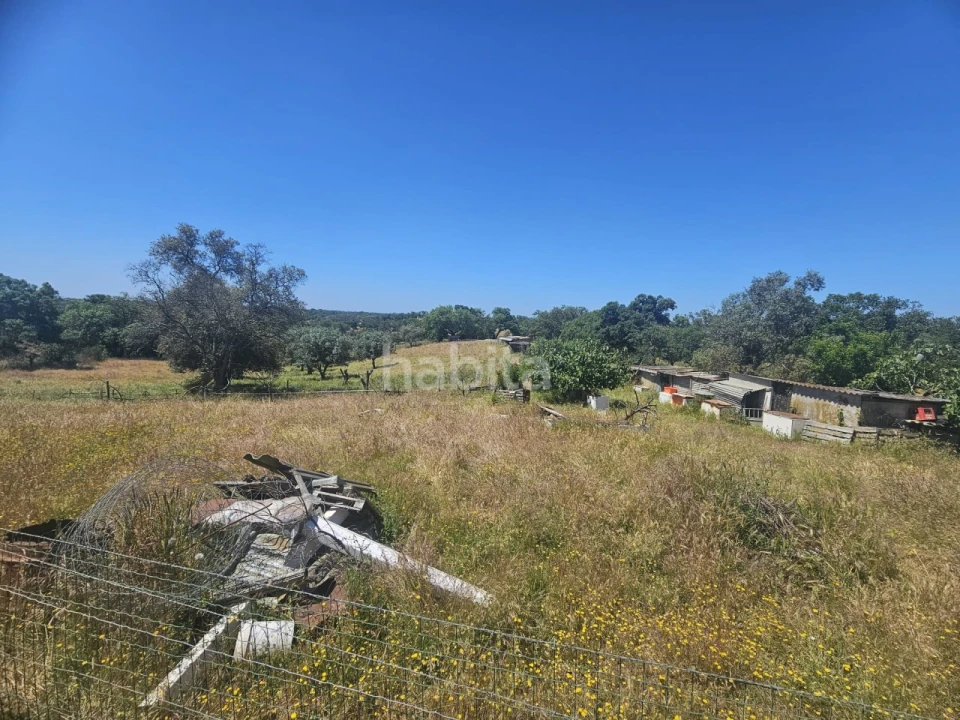 Quinta T1 para Venda em Abela Foto 25