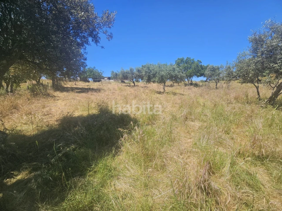 Quinta T1 para Venda em Abela Foto 28