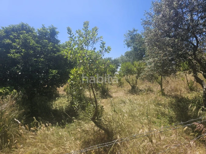 Quinta T1 para Venda em Abela Foto 4